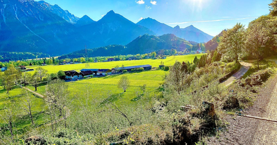 Home Reitzentrum Schluxen Plugilo